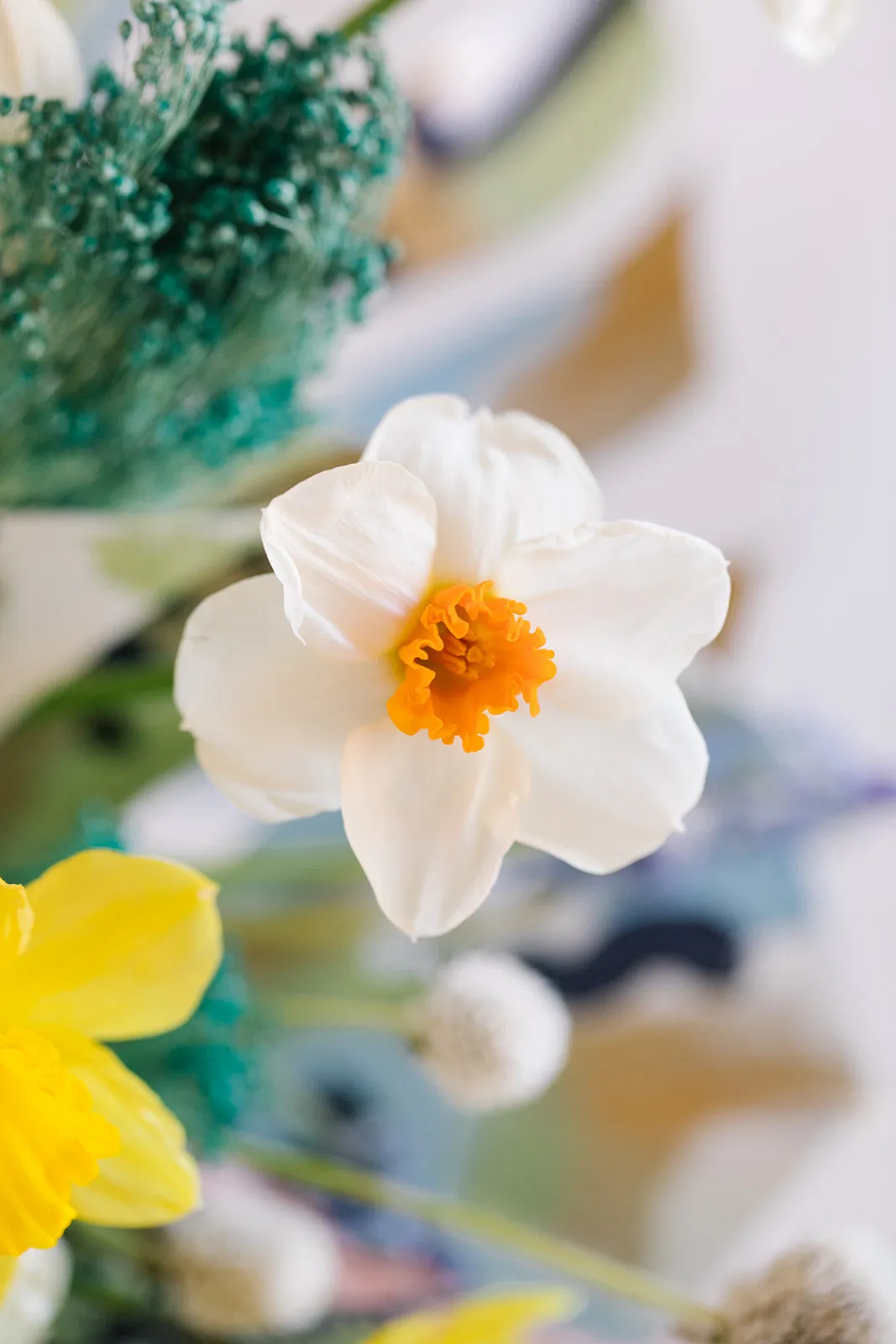 Amalfi Affair Meadow Pop
