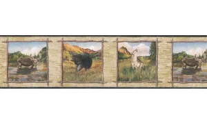 Animals TA39020B Wallpaper Border