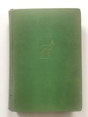 Bambi