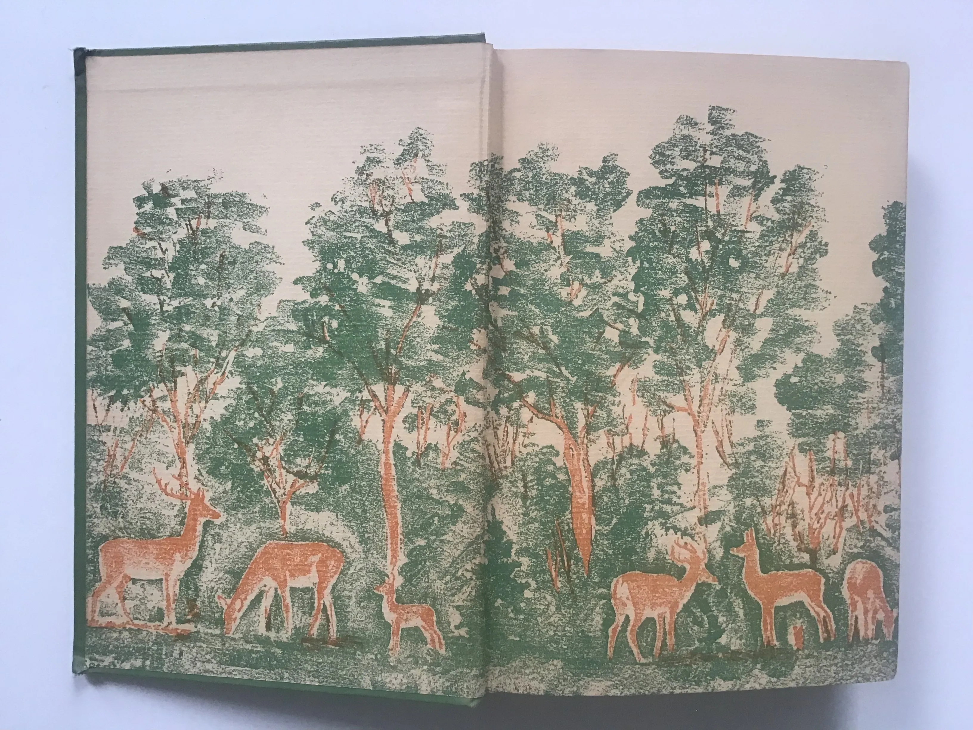 Bambi