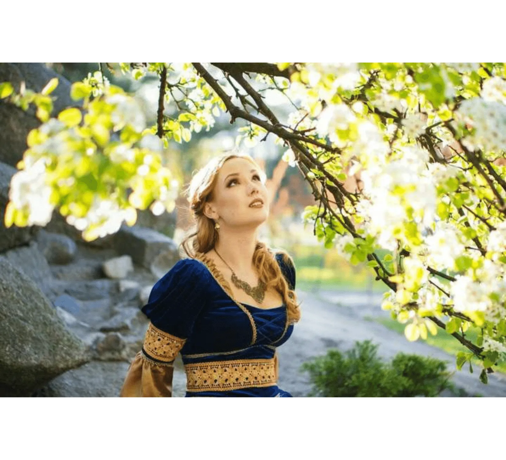 Blue velvet Renaissance dress, Italy medieval wedding gown