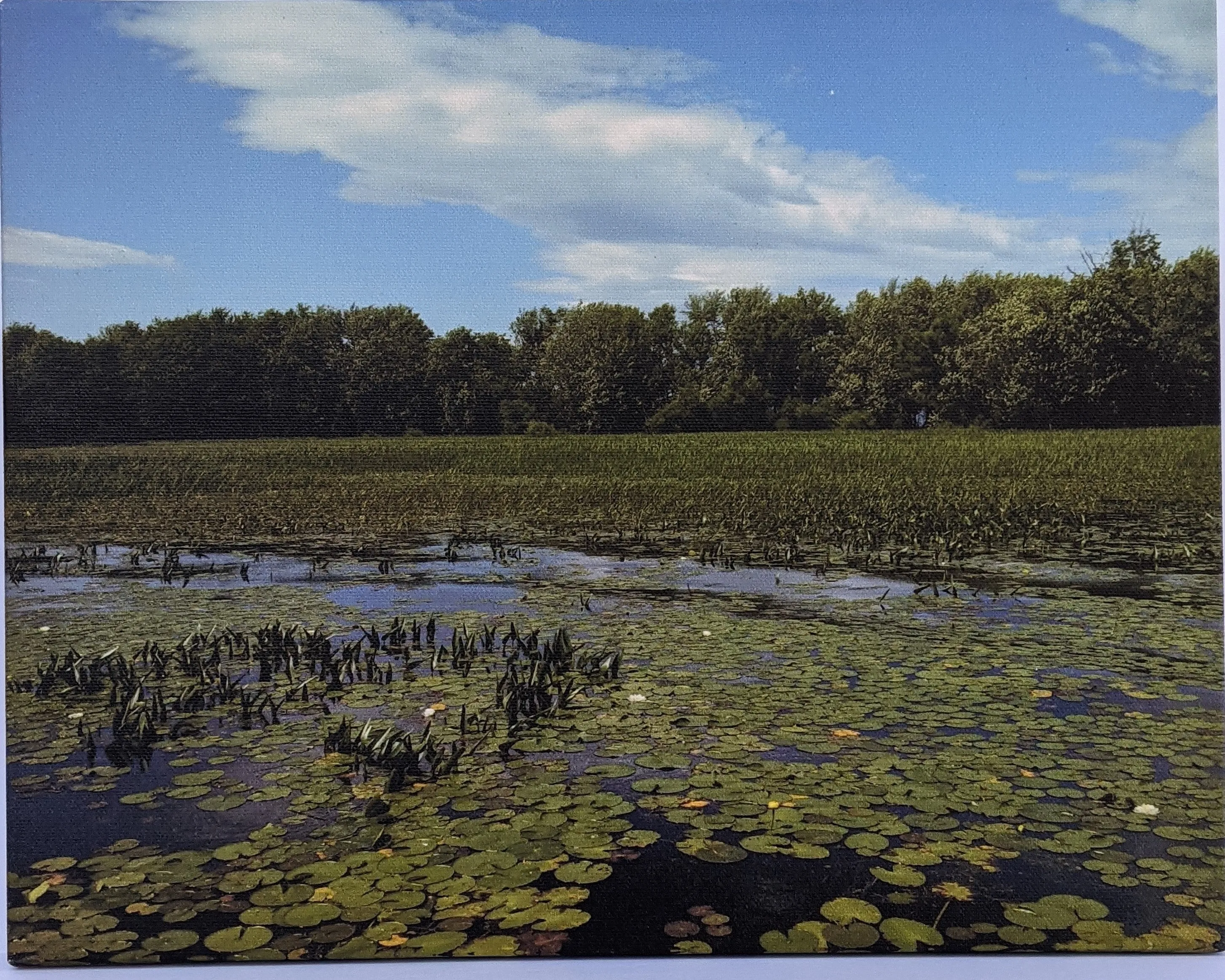 Bulwagga Bay Canvas Print