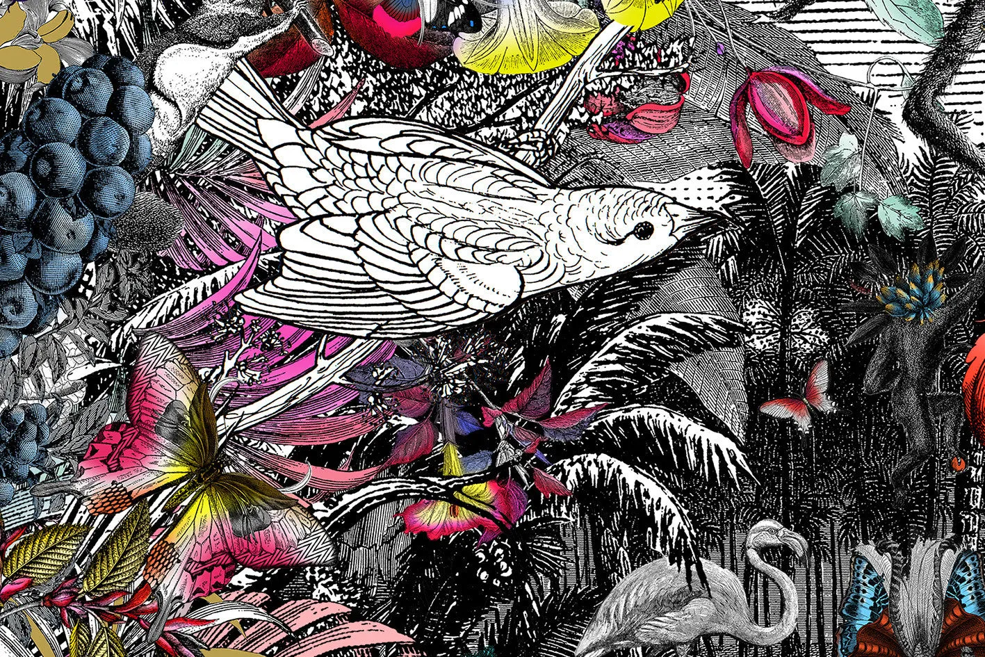 Columbian Jungle - Art Print