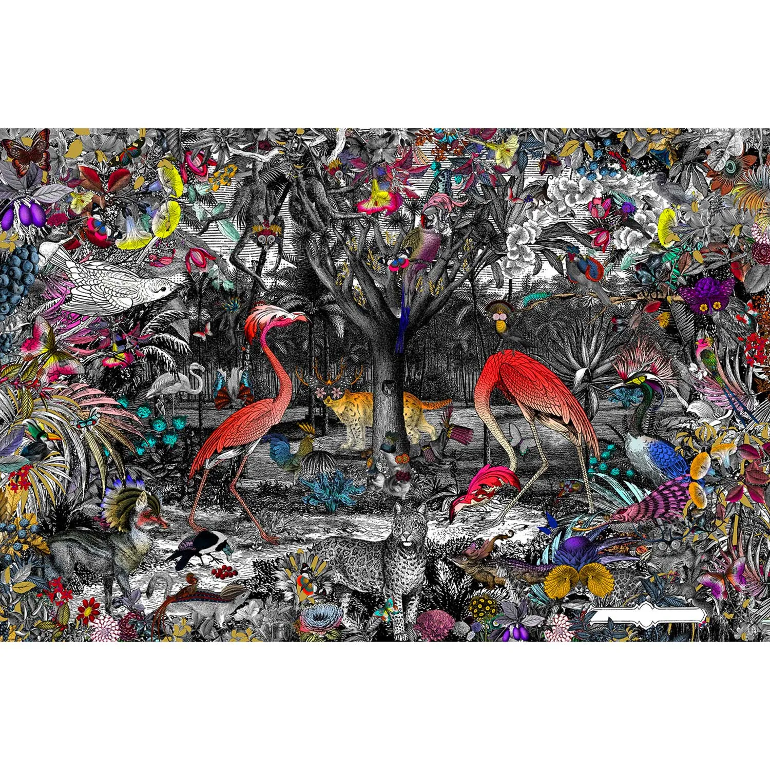 Columbian Jungle - Art Print