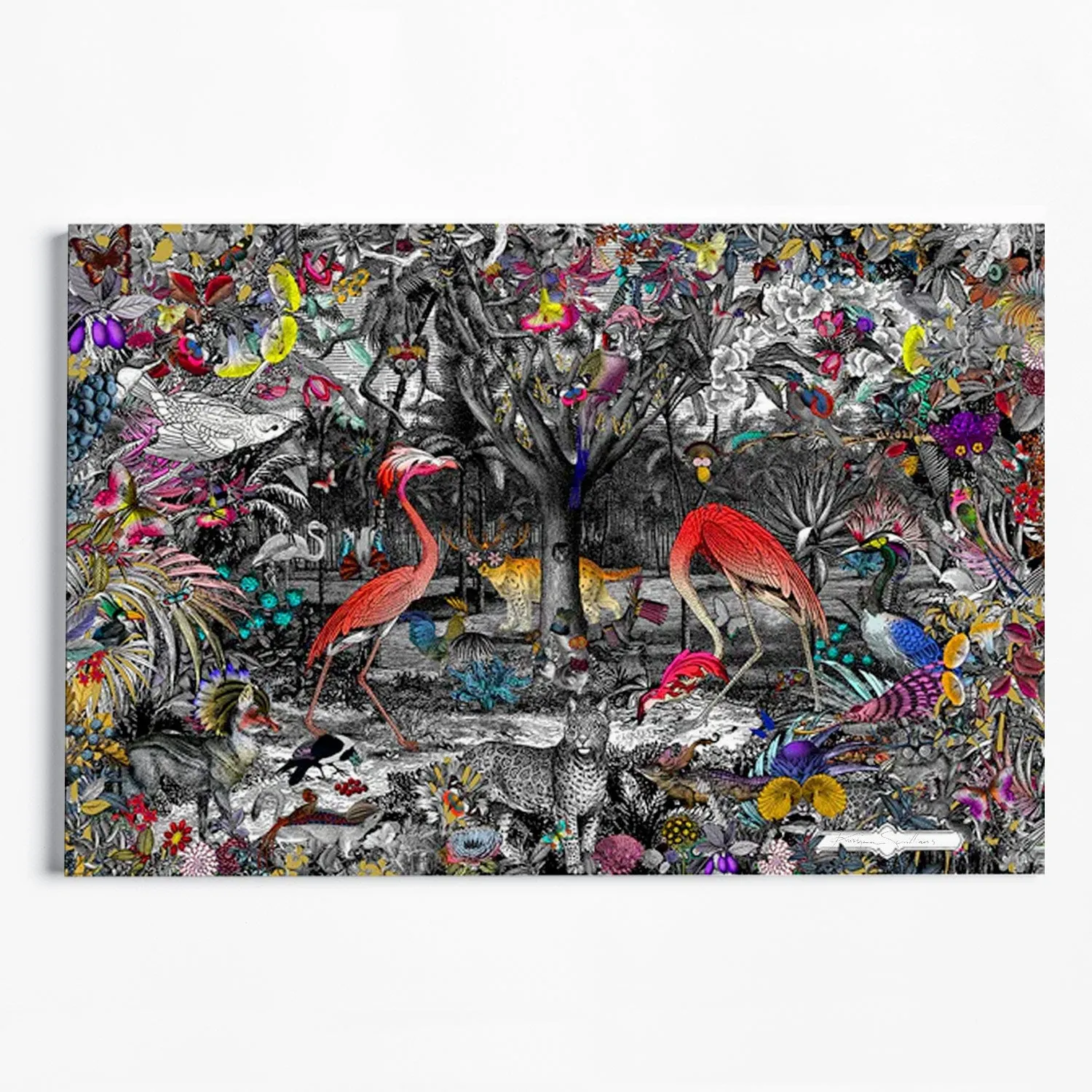 Columbian Jungle - Art Print