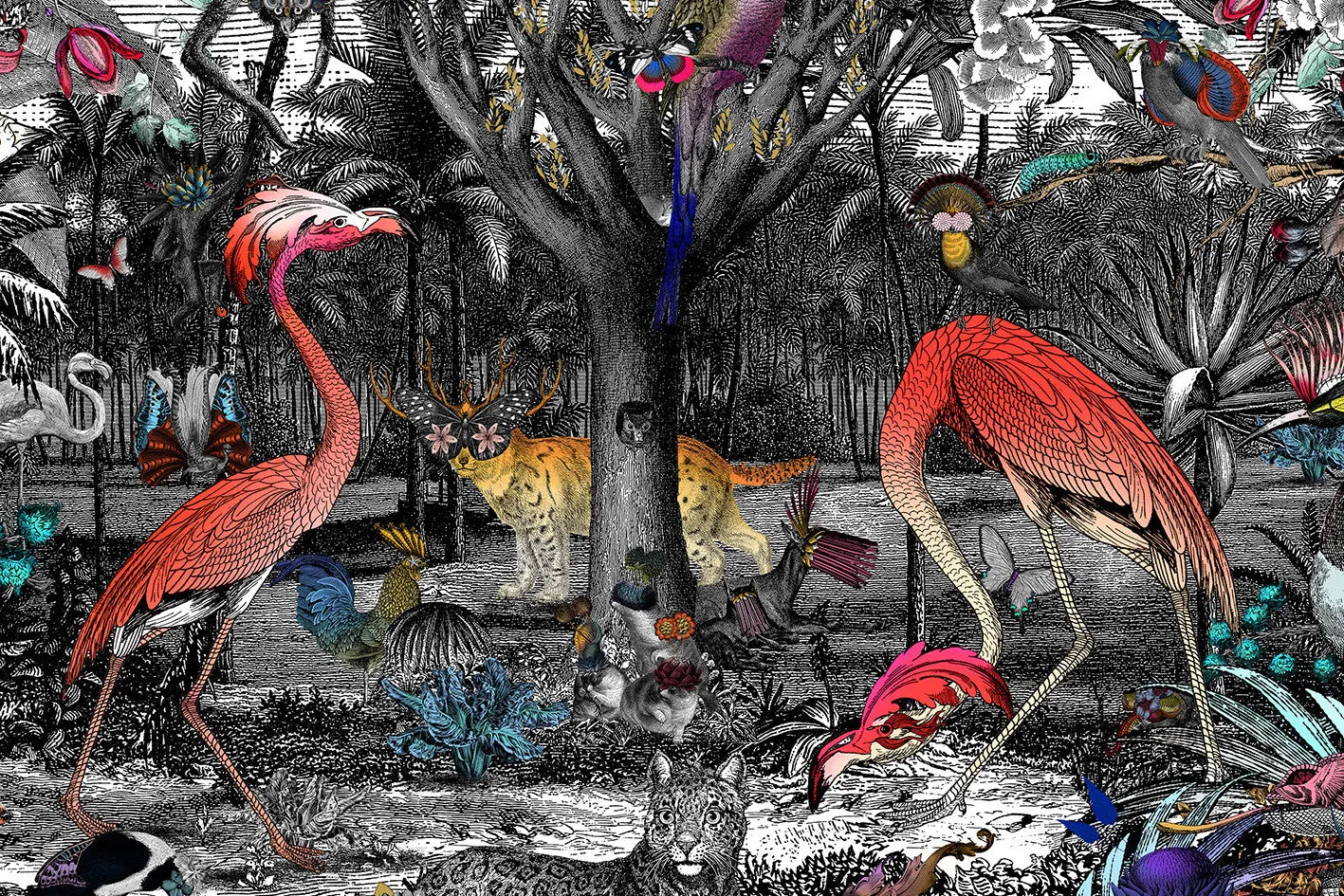 Columbian Jungle - Art Print