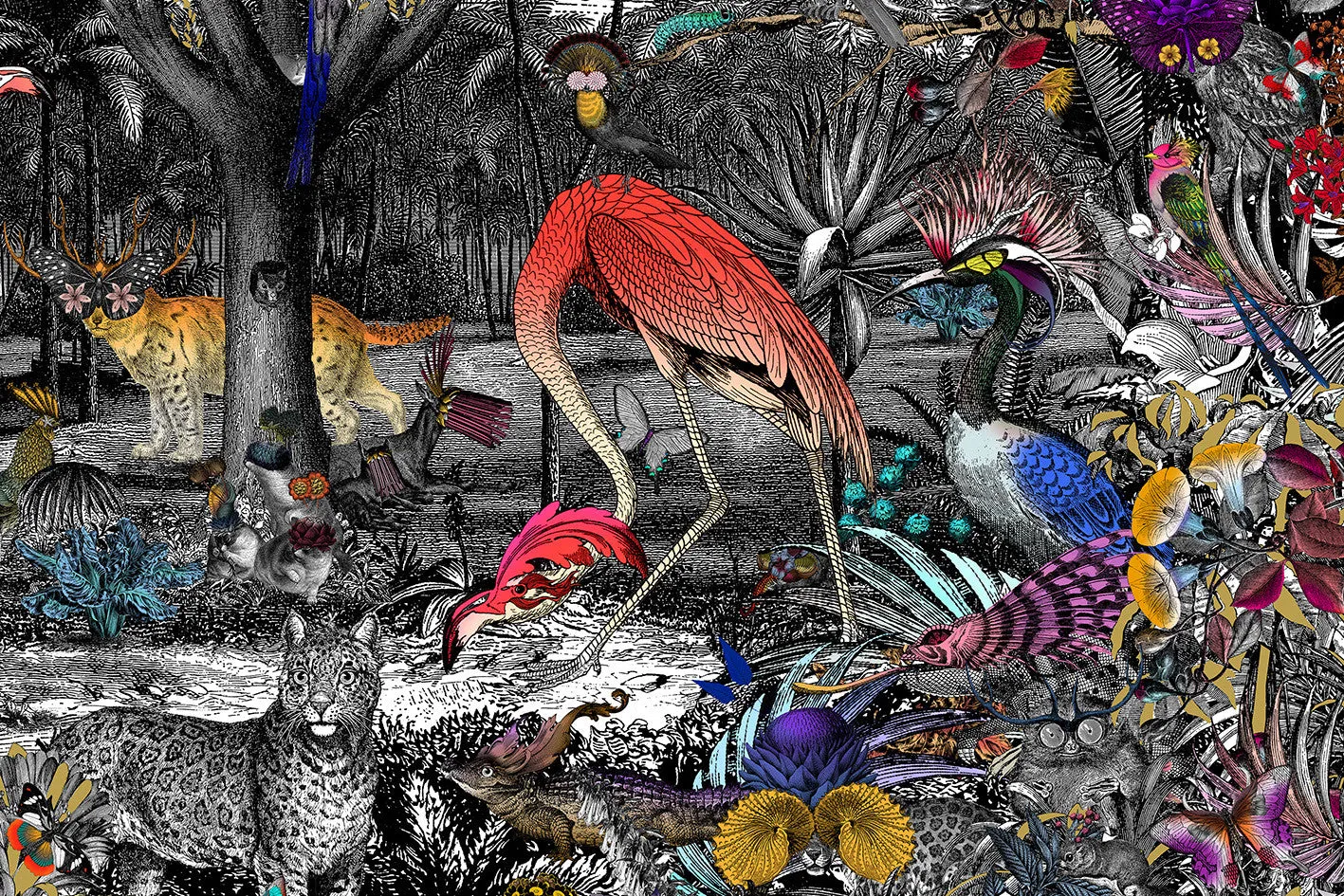 Columbian Jungle - Art Print