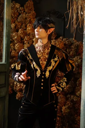 Fantasy book cosplay, wedding costume for men