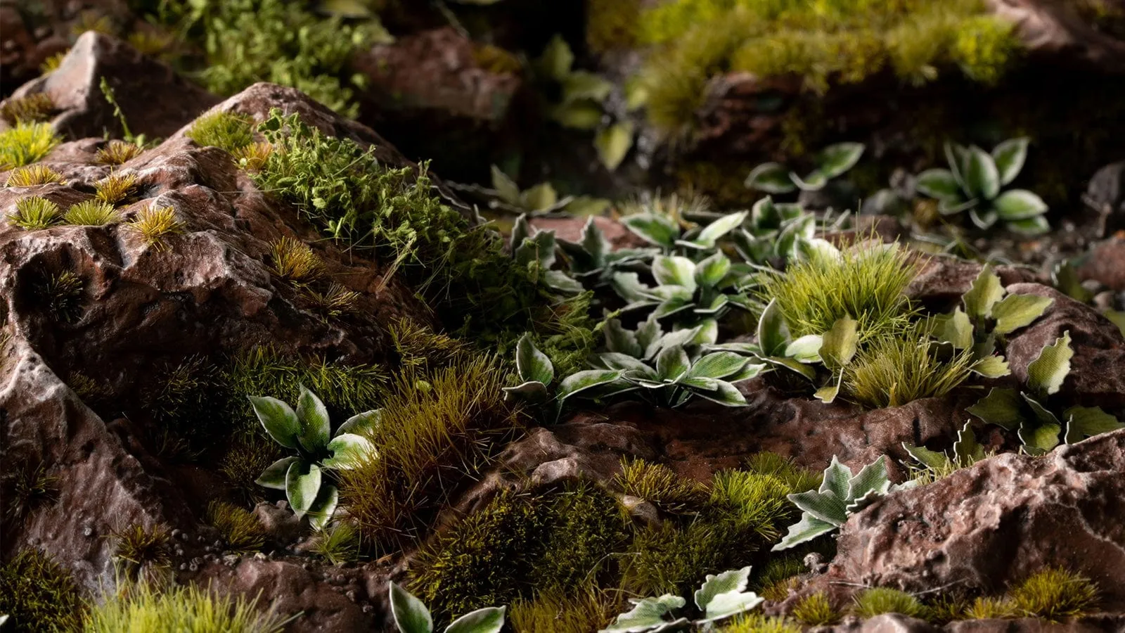 Gamer's Grass Laser Plants - Plantain Lily