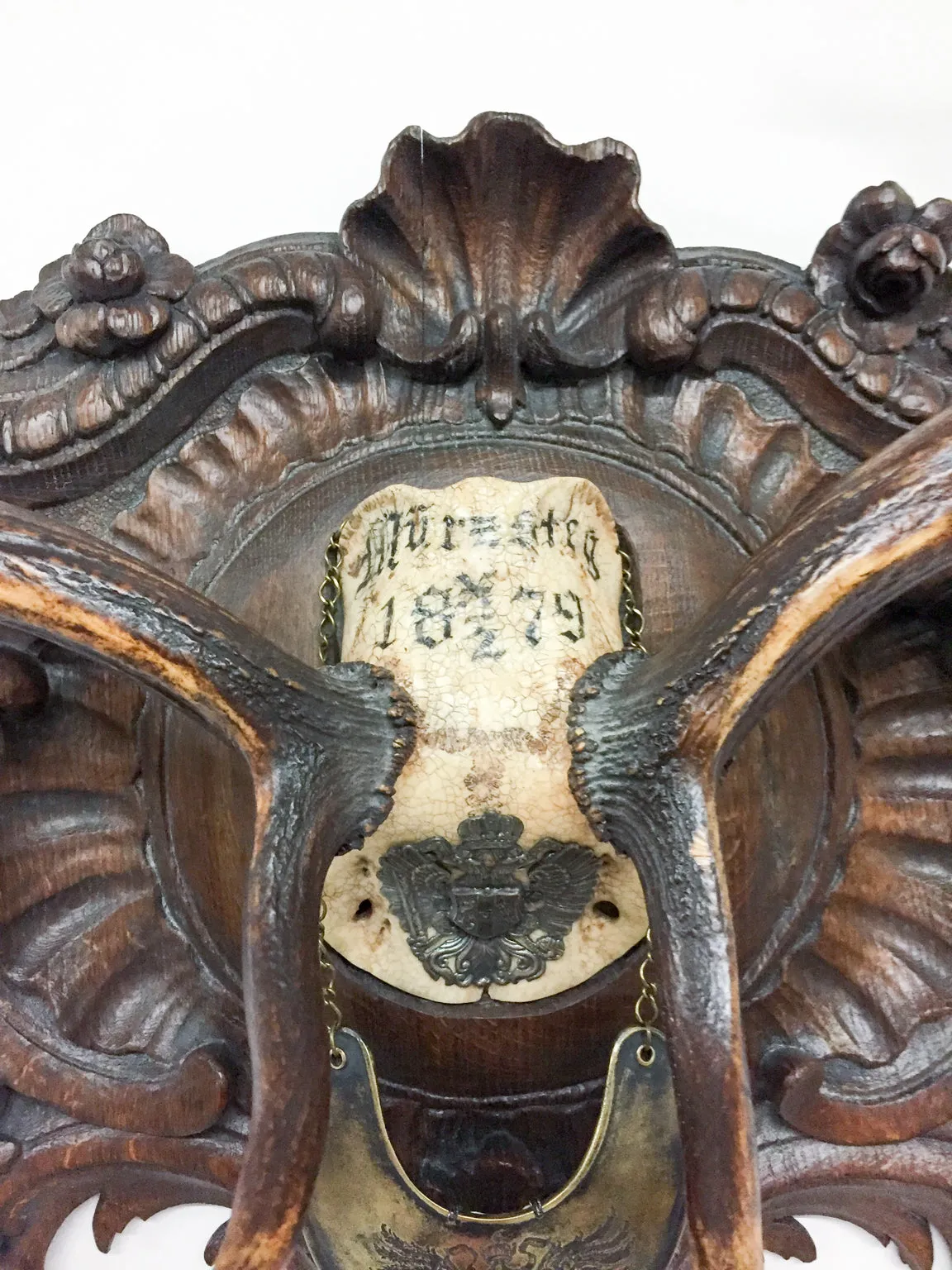 Habsburg Fallow Trophy on Original Plaque with Austro-Hungarian Gorget & Veterans Badge