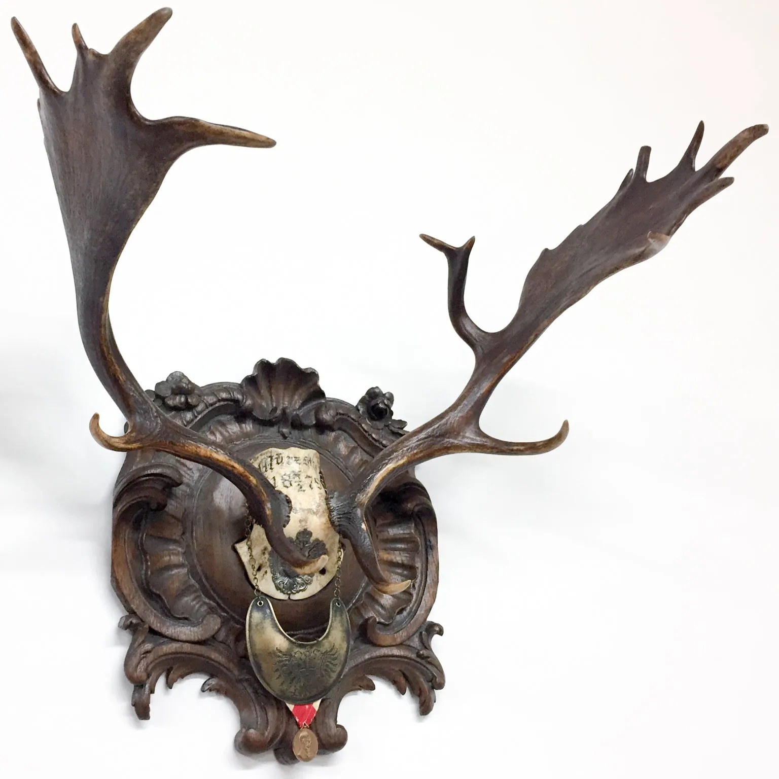 Habsburg Fallow Trophy on Original Plaque with Austro-Hungarian Gorget & Veterans Badge