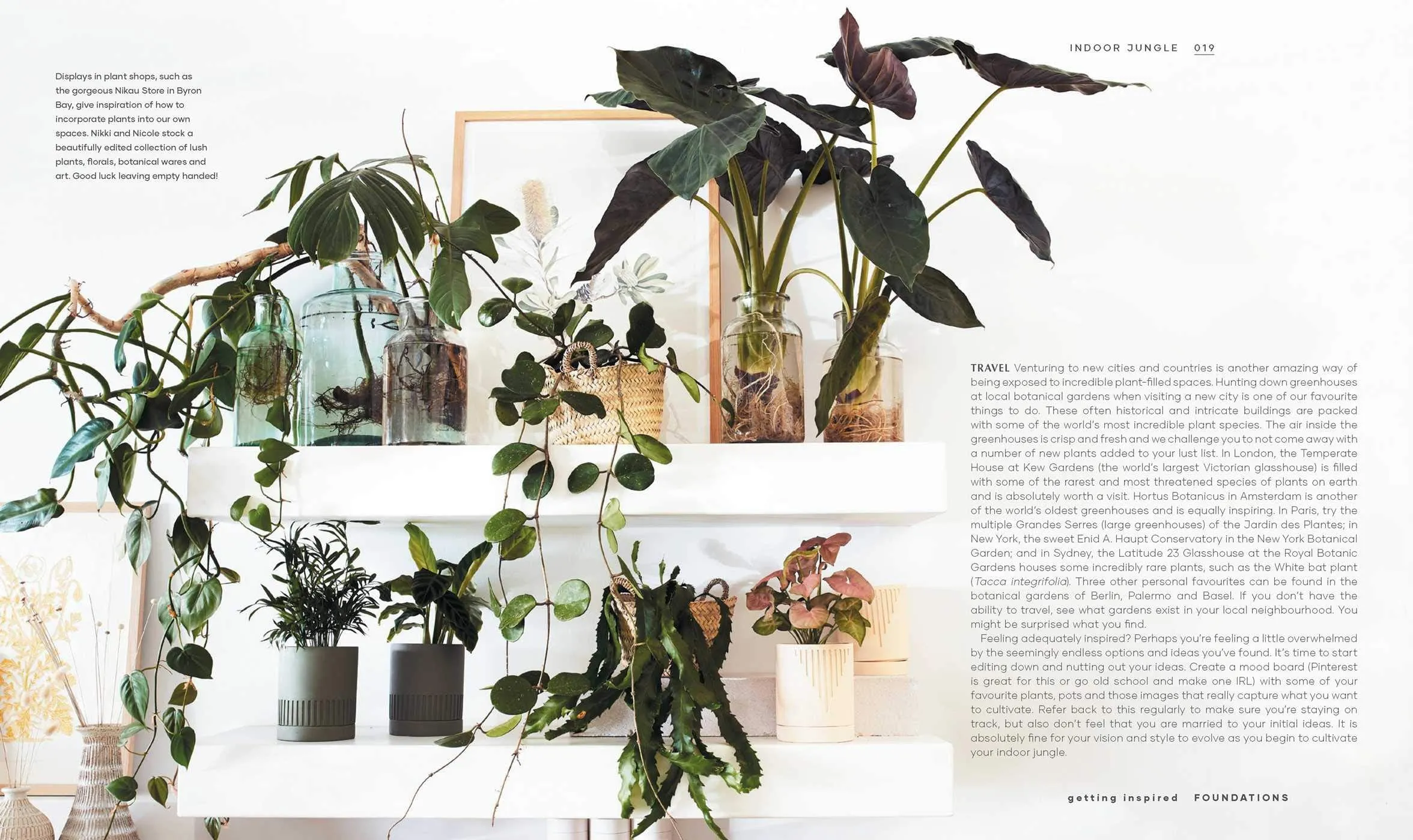 Indoor Jungle