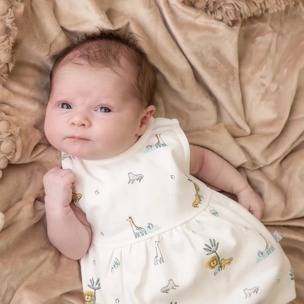 Jungle Friends Dress & Bloomers