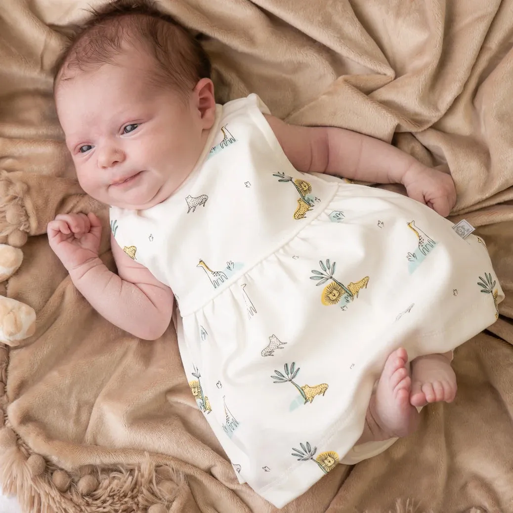 Jungle Friends Dress & Bloomers
