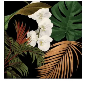 Jungle Night II