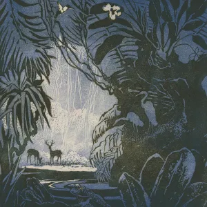 Jungle Peace