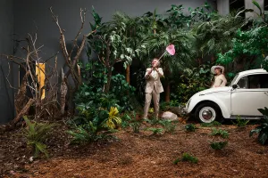Jungle Studio