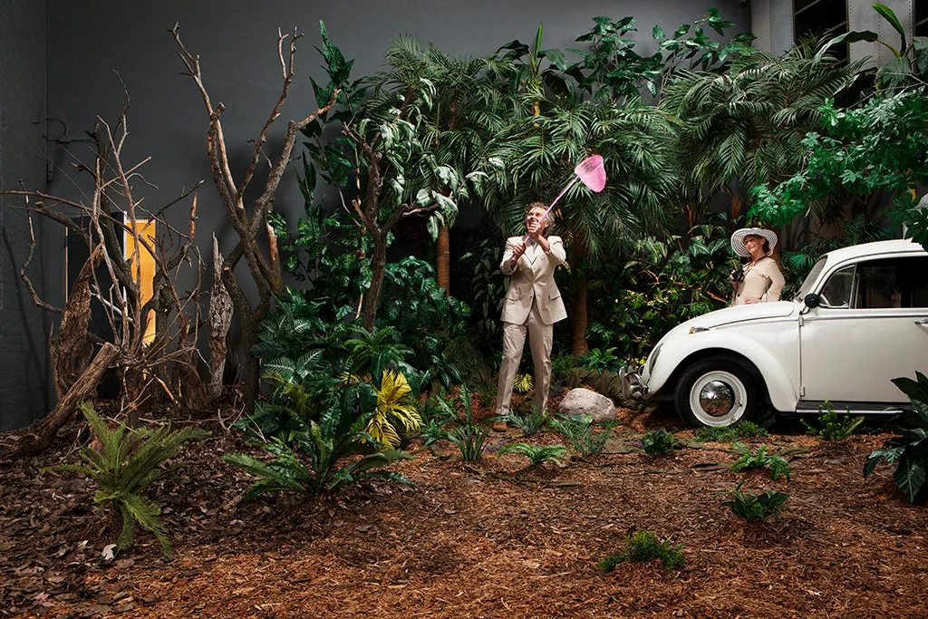 Jungle Studio