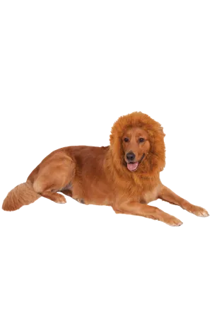 Lion Mane Dog Accessory