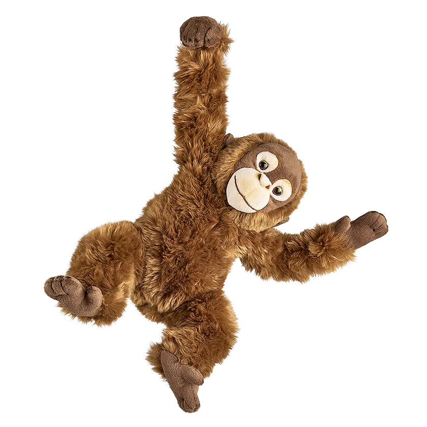 Orangutan