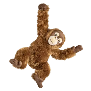 Orangutan
