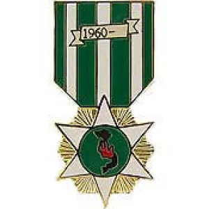 PINS- MEDAL, VIET, CAMP. (RVN) (1-3/16")