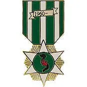 PINS- MEDAL, VIET, CAMP. (RVN) (1-3/16")