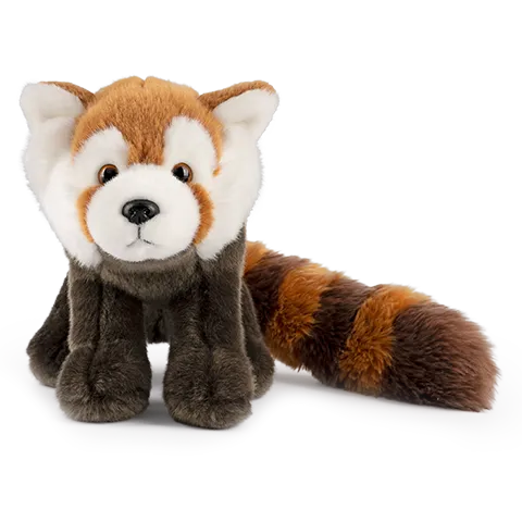 Red Panda