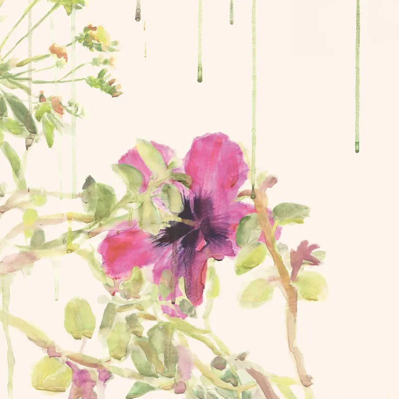 seasons wallpaper