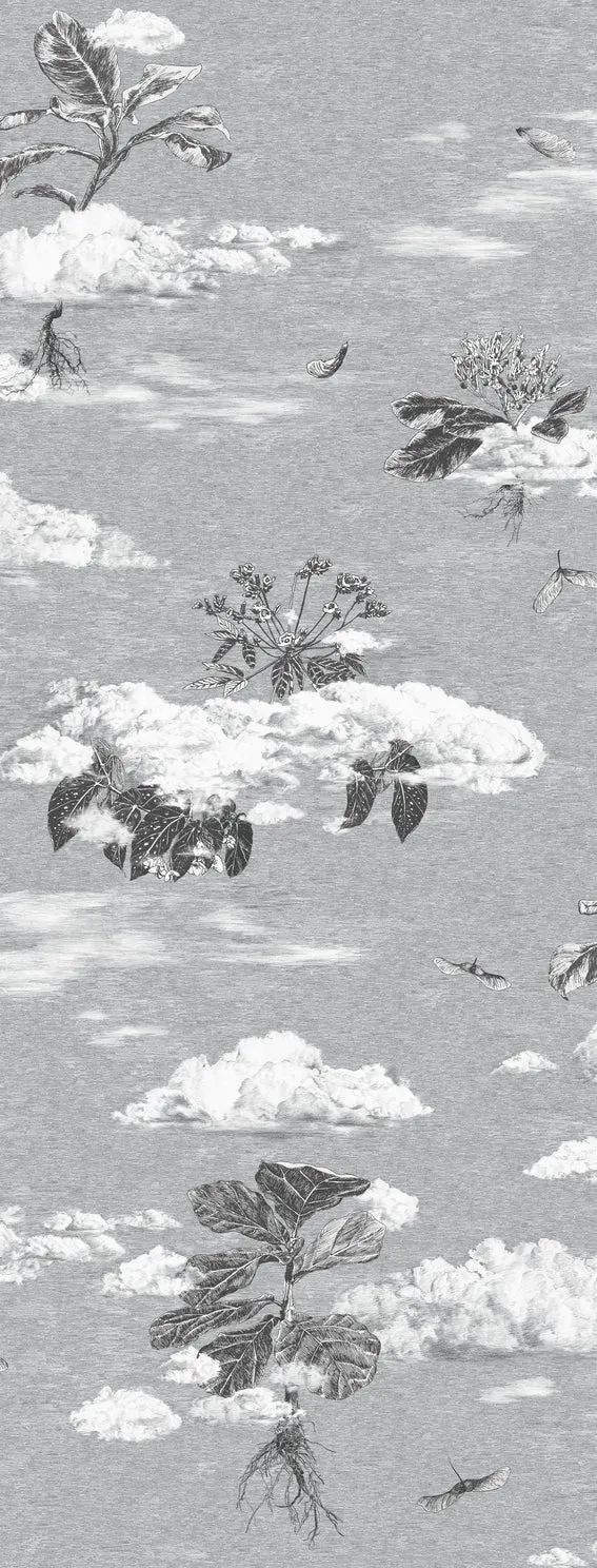seasons wallpaper