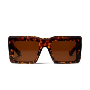 Taylor- Tortoiseshell