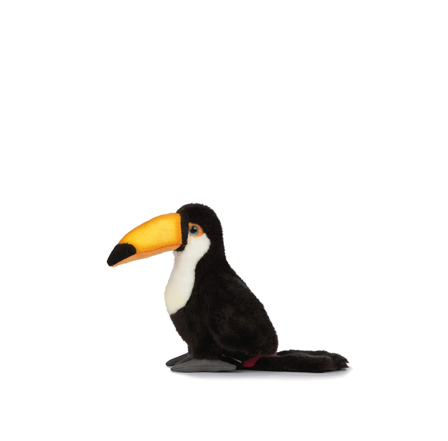 Toucan