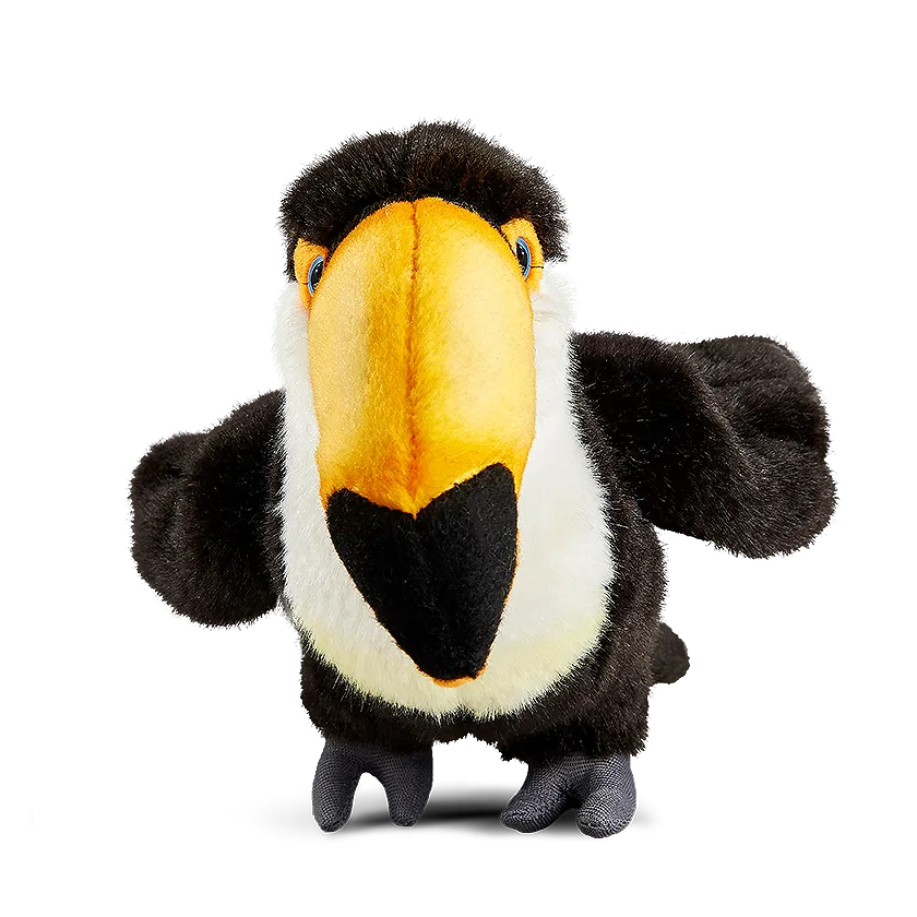 Toucan