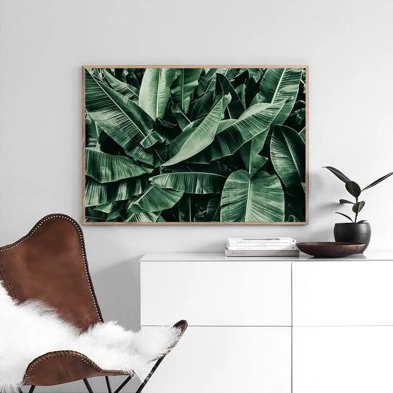 Tropic Jungle