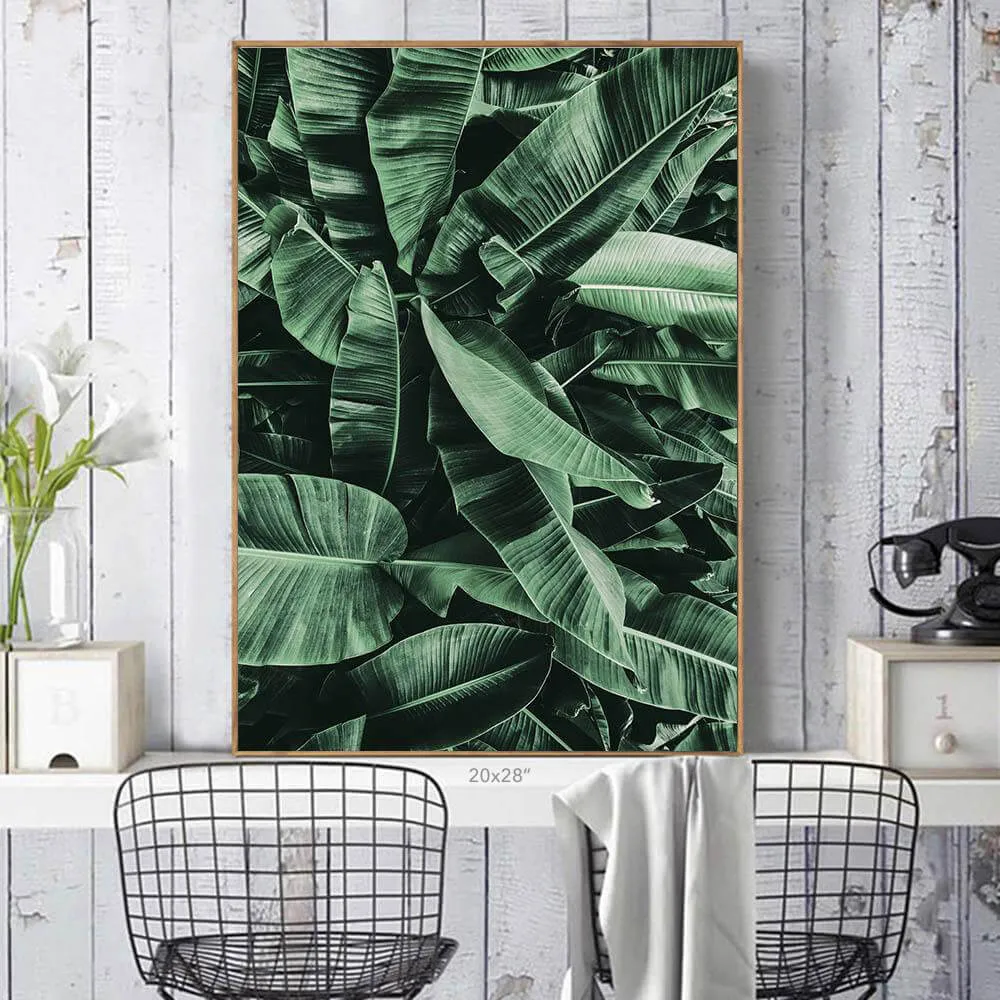 Tropic Jungle