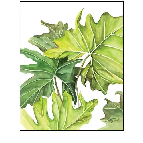 Tropical Jungle